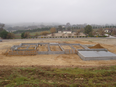 View of Foundation from Oaks