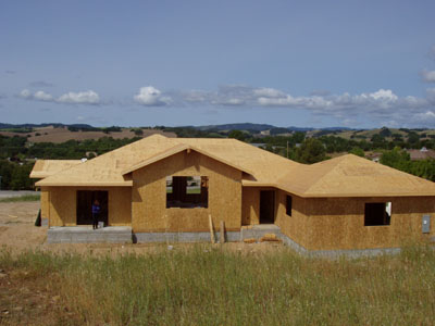 Back with framing complete and trusses skinned