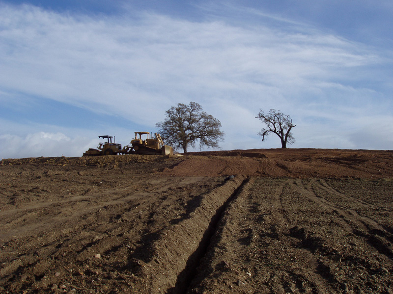 The Building Site